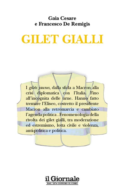 Gilet Gialli - Cesare Gaia,De Remigis Francesco - ebook