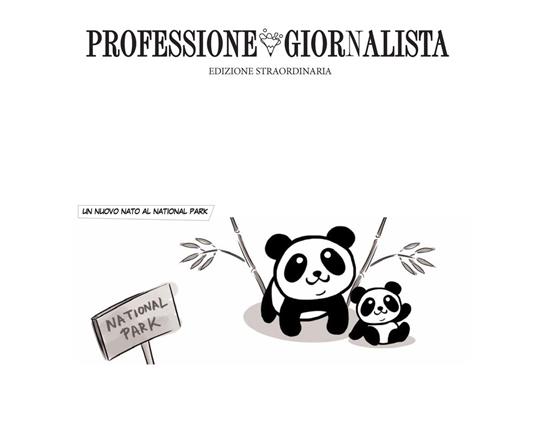 Kit professione giornalista - copertina
