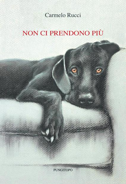 Non ci prendono più - Carmelo Rucci - copertina