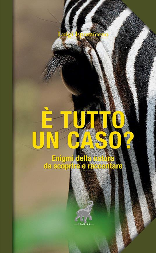 È tutto un caso? Enigmi della natura da scoprire e raccontare - Luigi Epomiceno - copertina