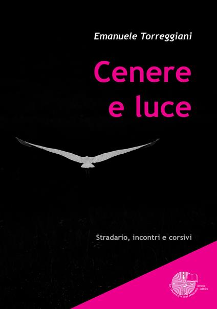 Cenere e luce - Emanuele Torreggiani - copertina