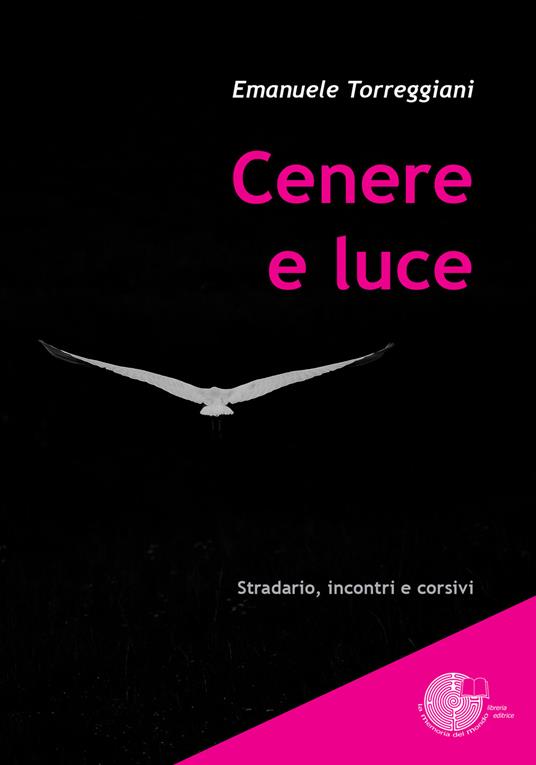 Cenere e luce - Emanuele Torreggiani - copertina