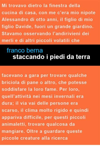 Staccando i piedi da terra - Franco Berna - ebook
