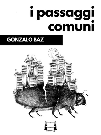 I passaggi comuni - Gonzalo Baz,Claudia Rolandone - ebook