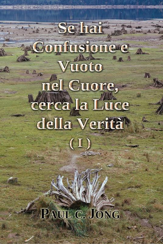 Se hai confusione e vuoto nel cuore, cerca la luce della verità(I) - Paul C. Jong - ebook