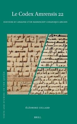 Le Codex Amrensis 22: Histoire et analyse d’un manuscrit coranique ancien - Éléonore Cellard - cover