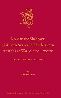 Lions in the Shadows: Northern Syria and Southeastern Anatolia at War, c.1180-708 BC: Ancient Warfare Series Volume 5 - Thomas James - cover