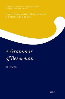 A Grammar of Beserman: Volume 2 - Timofey Arkhangelskiy,Maria Usacheva,Maria Cheremisinova - cover