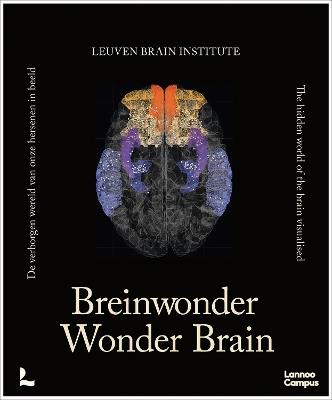 Wonder Brain - Mathieu Vandenbulcke,Ann Jeugd - cover