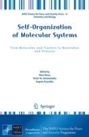 Self-Organization of Molecular Systems: From Molecules and Clusters to Nanotubes and Proteins - cover
