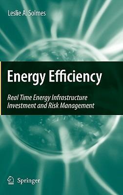 Energy Efficiency: Real Time Energy Infrastructure Investment and Risk Management - Leslie A. Solmes - cover