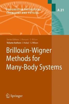 Brillouin-Wigner Methods for Many-Body Systems - Stephen Wilson,Ivan Hubac - cover