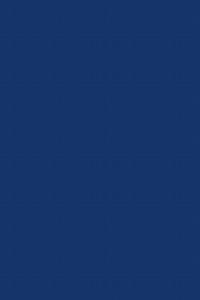 Scarcity’s Ways: The Origins of Capital: A Critical Essay on Thermodynamics, Statistical Mechanics and Economics - M.S. Macrakis - cover