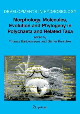 Morphology, Molecules, Evolution and Phylogeny in Polychaeta and Related Taxa - cover