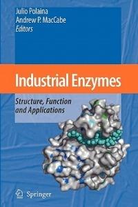 Industrial Enzymes: Structure, Function and Applications - cover