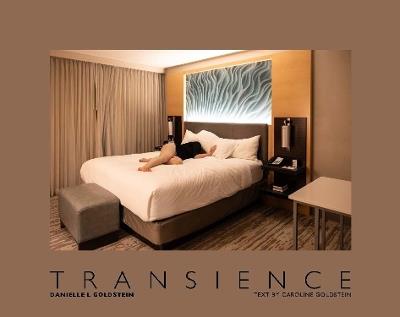 Danielle L. Goldstein: Transience - cover