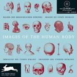 Images of the human body. Ediz. multilingue. Con CD-ROM