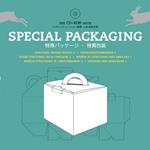 Special packaging-Design strutturale della confezione II. Ediz. bilingue. Con CD-ROM