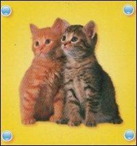 I gattini - copertina