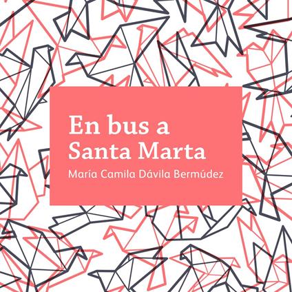 En bus a Santa Marta