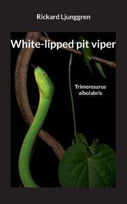 White-lipped pit viper: Trimeresurus albolabris - Rickard Ljunggren - cover