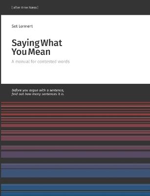 Saying What You Mean: A manual for contested words - Set Lonnert - cover