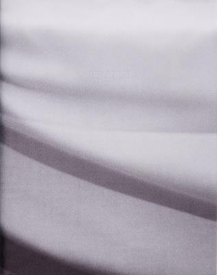 Transi - Margot Jourquin - cover