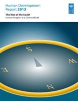 Human development report 2013: the rise of the South, human progress in a diverse world - United Nations Development Programme - cover