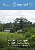 Collective tenure rights for REDD+ implementation and sustainable development