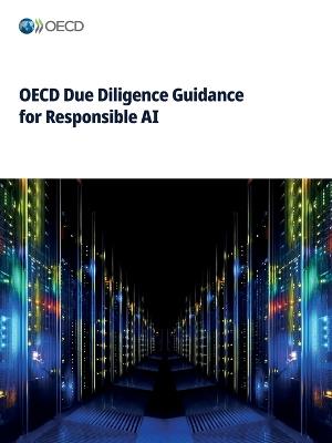 OECD Due Diligence Guidance for Responsible AI - Oecd - cover