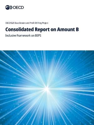 Consolidated Report on Amount B - Oecd - cover