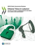 Citizens' voice in Lebanon: the role of public communication and media for a more open government