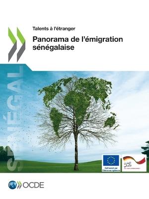 Talents A l'Etranger Panorama de l'Emigration Senegalaise - Oecd - cover