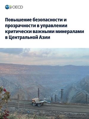 Повышение безопасности и прозрачности в у - Oecd - cover
