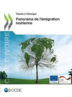 Talents A l'Etranger Panorama de l'Emigration Ivoirienne - Oecd - cover