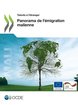 Talents A l'Etranger Panorama de l'Emigration Malienne - Oecd - cover