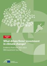 What drives firms' investment in climate action?