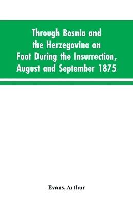 Through Bosnia and the Herzegovina on foot during the insurrection, August and September 1875: with an historical review of Bosnia, and a glimpse at the Croats, Slavonians, and the ancient republic of Ragusa - Arthur Evans - cover