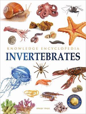 Animals: Invertebrates Knowledge Encyclopedia for Children - Wonder House Books - cover