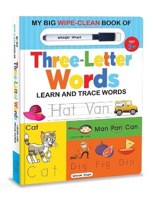 My Big Wipe and Clean Book of Three Letter Words for Kids: Learn and Trace Words - Wonder House Books - cover