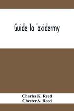 Guide To Taxidermy