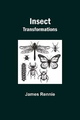 Insect Transformations - James Rennie - cover