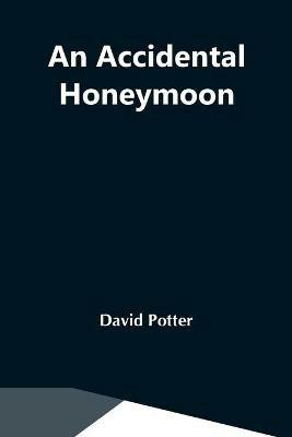 An Accidental Honeymoon - David Potter - cover
