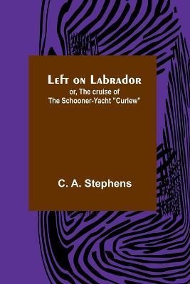 Left on Labrador; or, The cruise of the Schooner-yacht "Curlew" - C A Stephens - cover