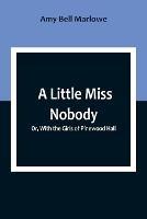 A Little Miss Nobody; Or, With the Girls of Pinewood Hall