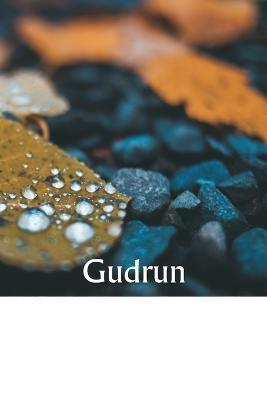 Gudrun - Ferdinand Schmidt - cover