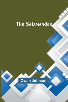 The Salamander - Owen Johnson - cover