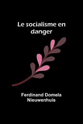 Le socialisme en danger - Ferdinand Domela Nieuwenhuis - cover
