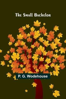 The small bachelor - P G Wodehouse - cover