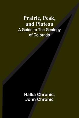 Round-and-Round Trip (Edition1) - Halka Chronic,John Chronic - cover